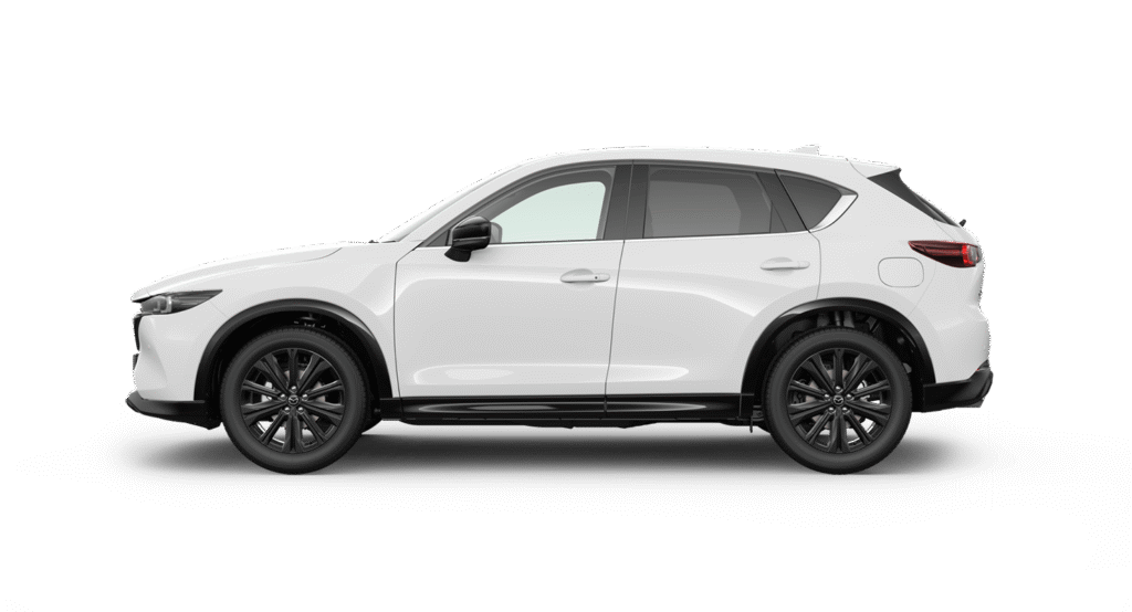Rental Car Type EE