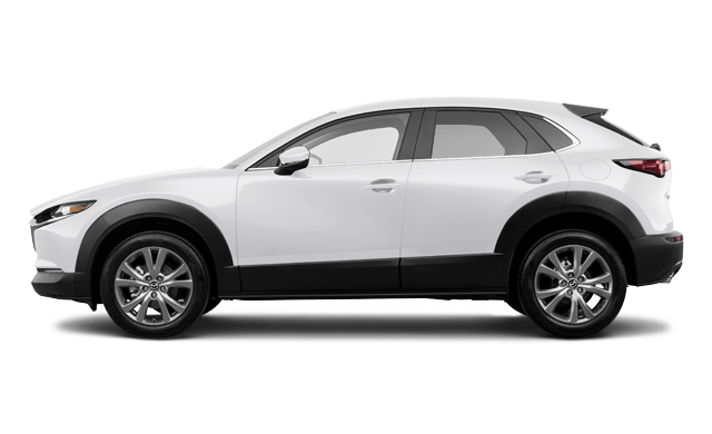 Rental Car Type CC